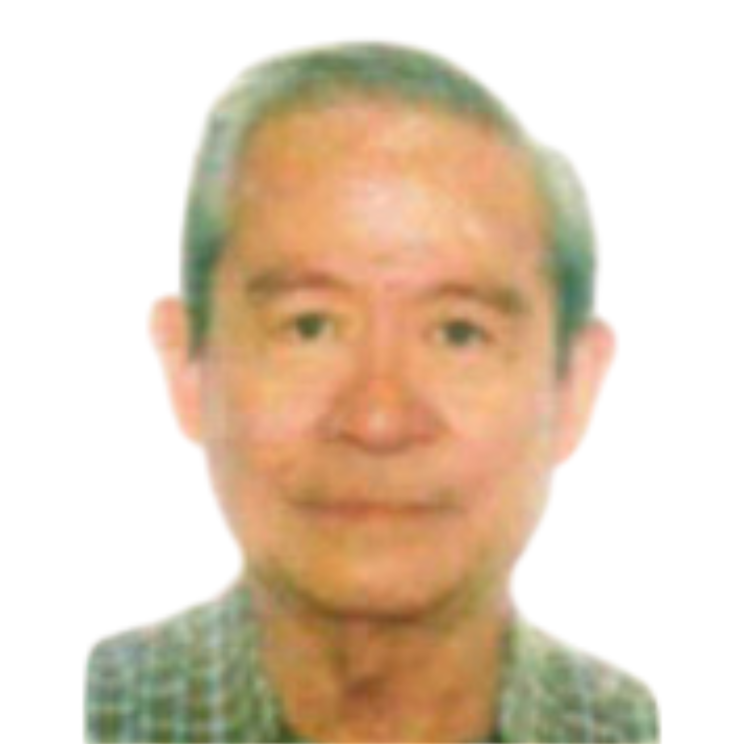 Narciso V. Villapando